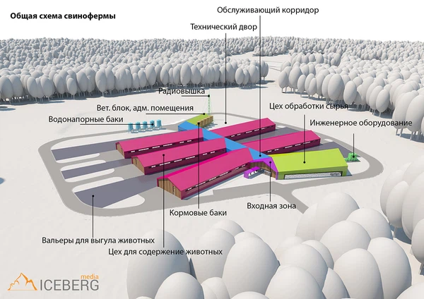 3d визуализация проекта свинофермы
