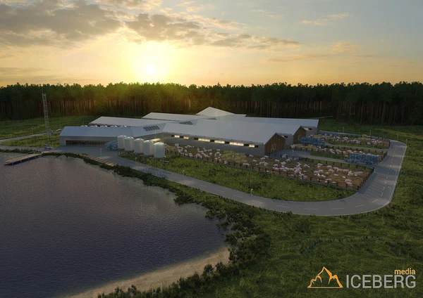 3d визуализация проекта свинофермы