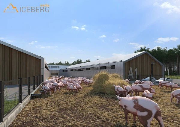 3d визуализация проекта свинофермы