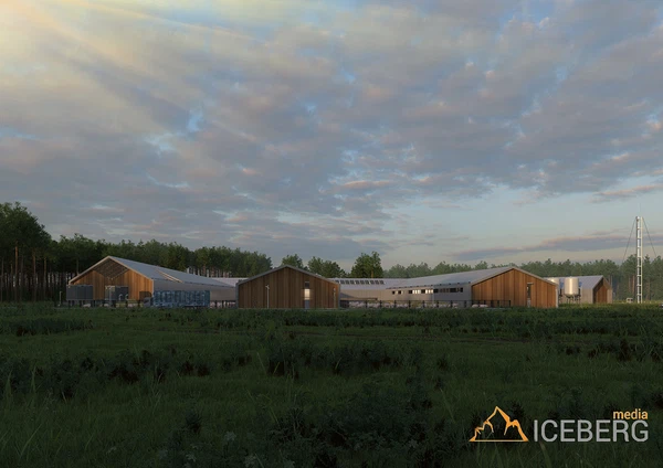 3d визуализация проекта свинофермы