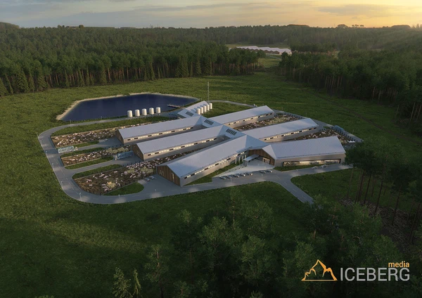 3d визуализация проекта свинофермыy